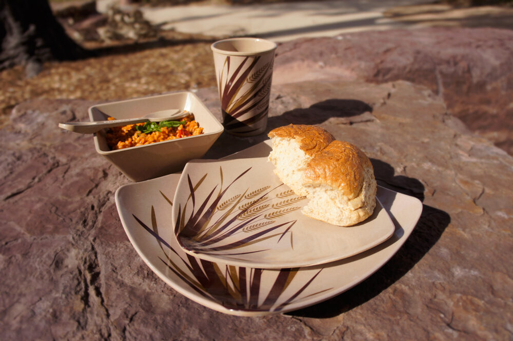 Lifestyle photo of the Rice Paddy tableware with food on a flattened rock in a park.