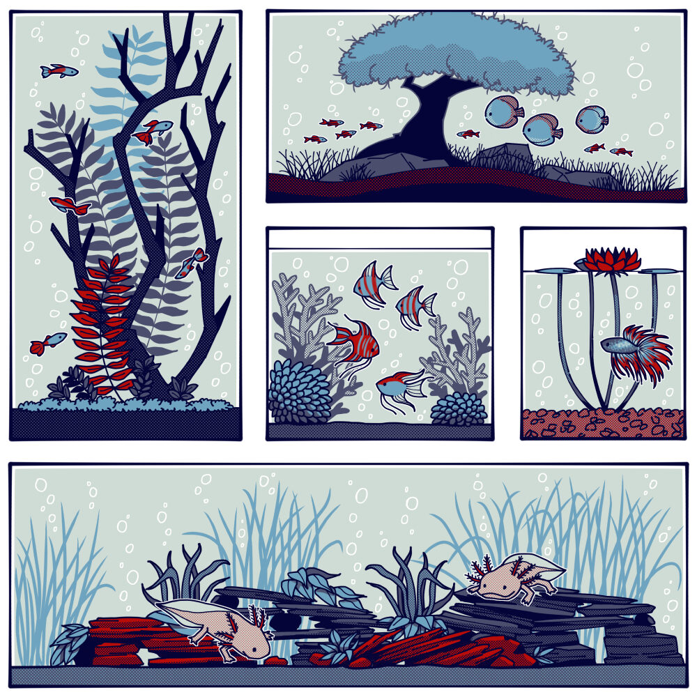 Aquariums 2018
