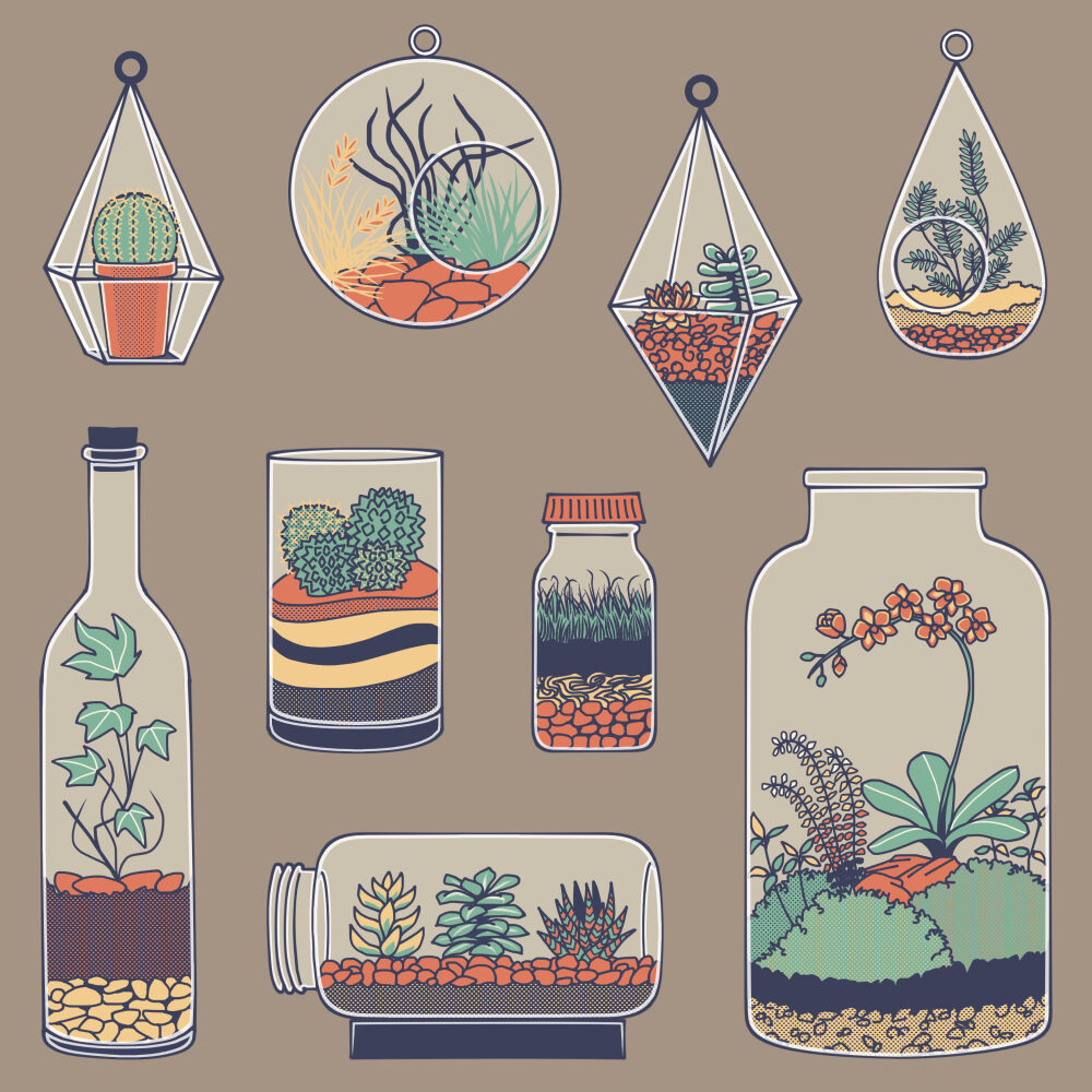 Terrariums 2018