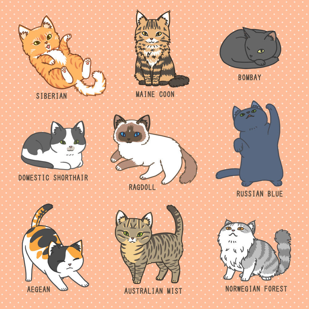 Chibi Cats 2020