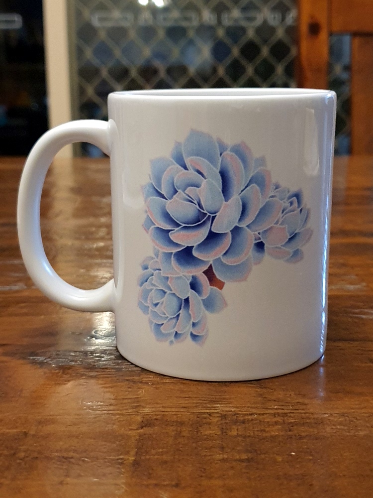 Photo of blue succulant mug showing the left side.