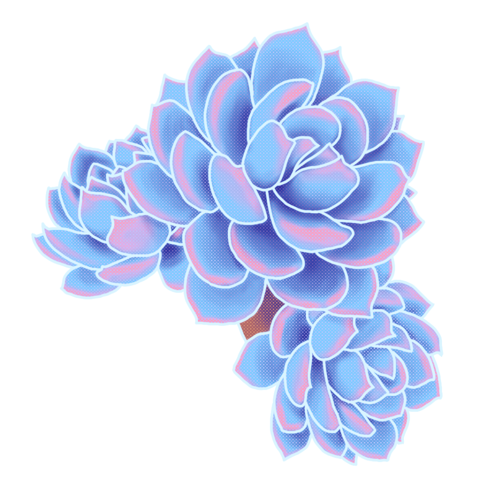 Digital illustration of a blue succulant.